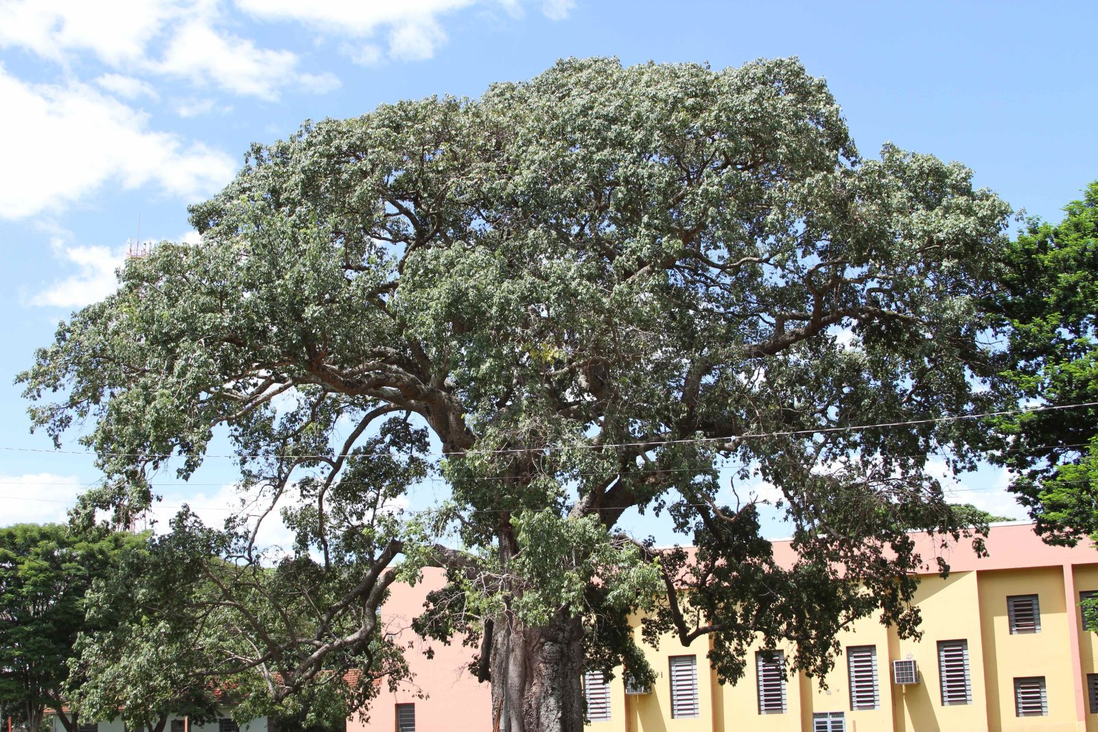 Área externa do campus